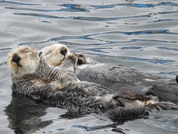 Monday? We Don't Know Her.