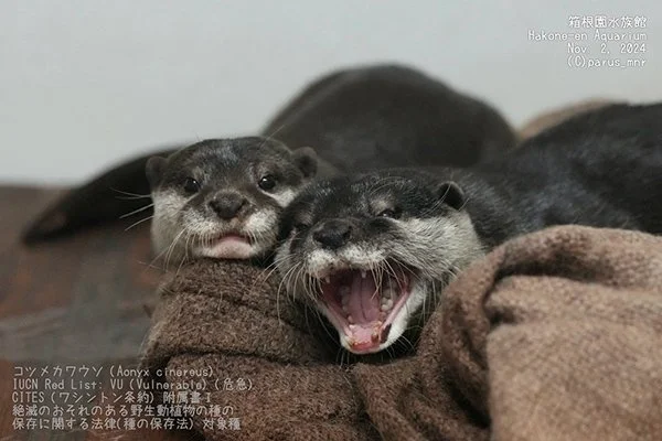 Get Outta Here - It's Naptime!