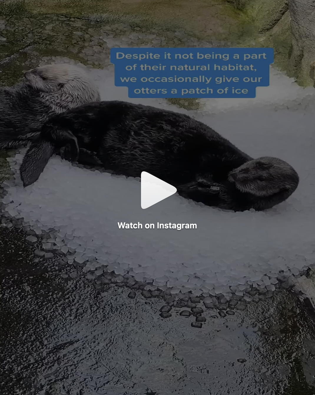 Piles of Ice Aren't Just Fun, They're Useful!