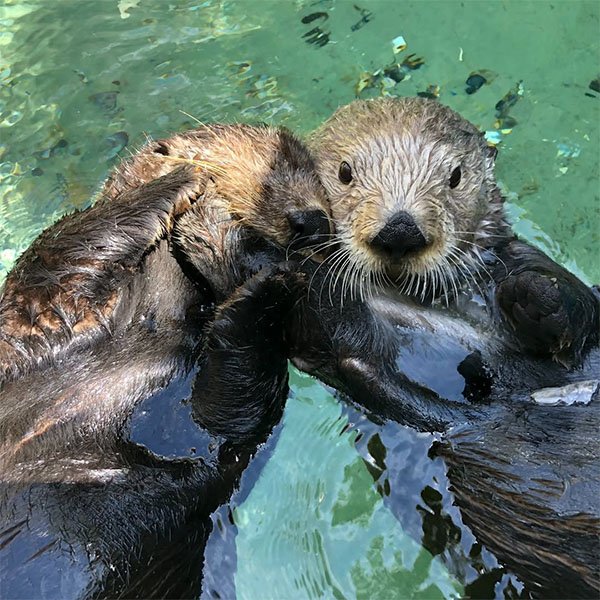 We're Ready, Take Our Picture!