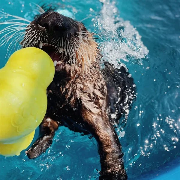 Stay Away From Those Teefs