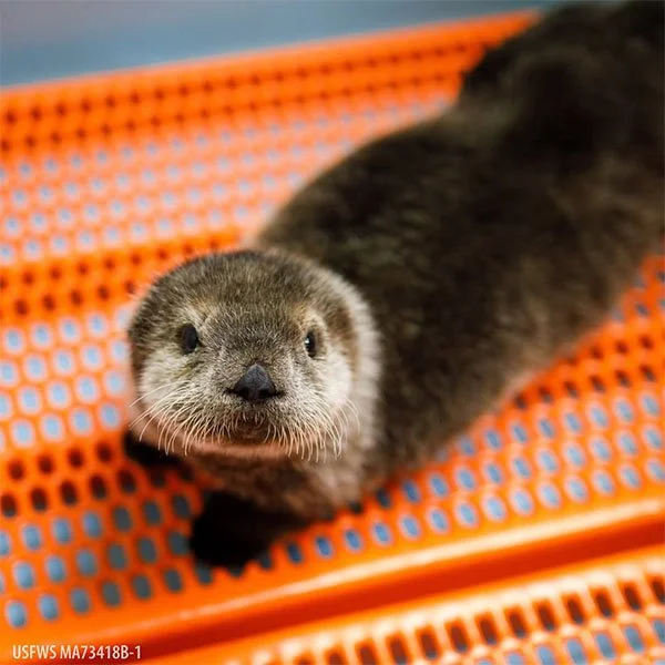 Look at This Angelic Little Face