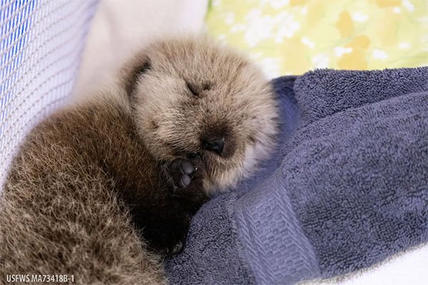 Imagine Working Night Shifts and This Is the Night Shift