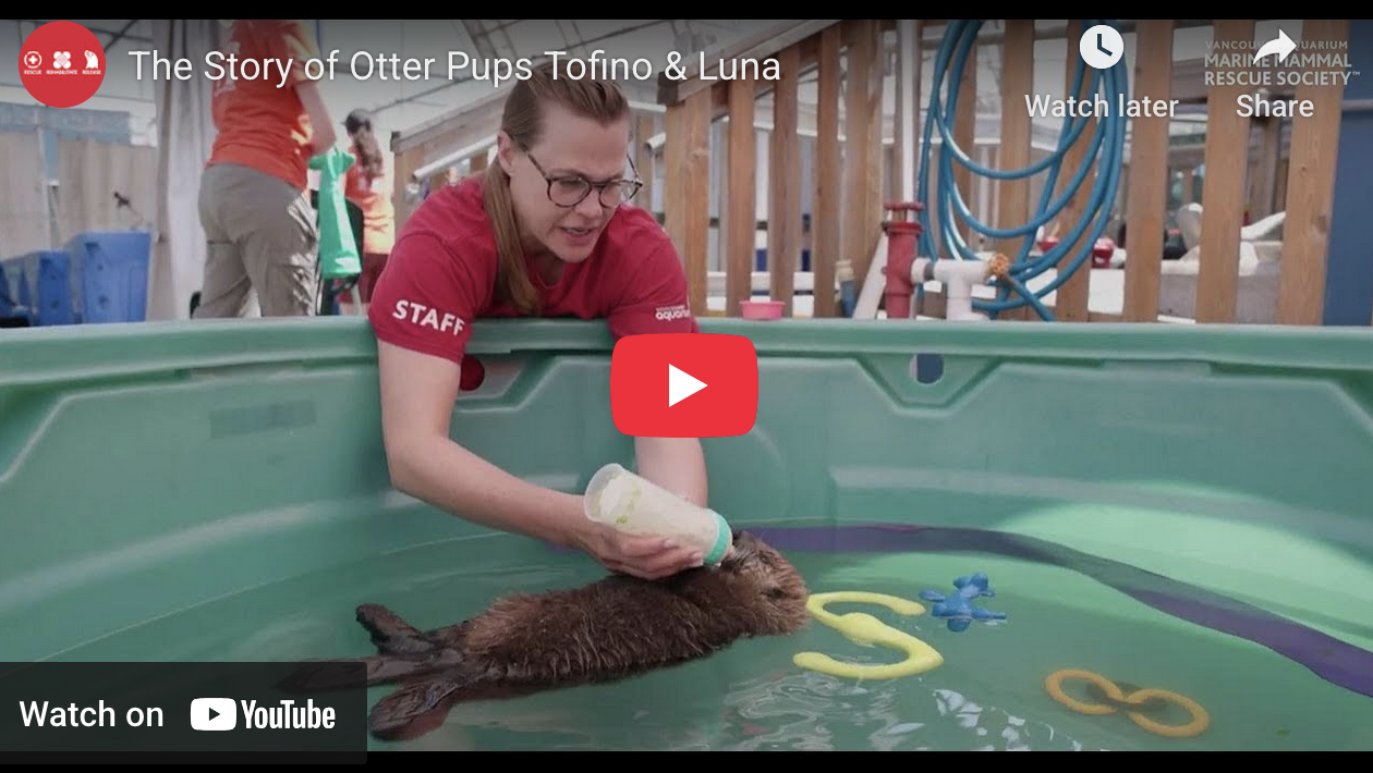 TBT to Tofino's and Luna's Rescue Stories