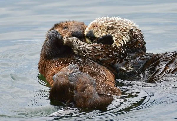 Shhh, Time for Naps Now