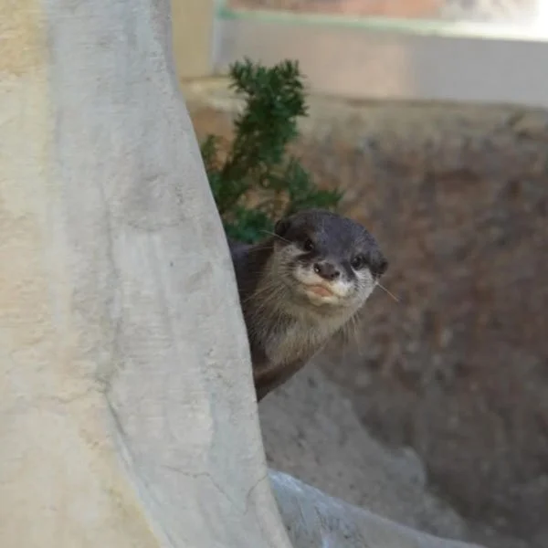 Hiiieee!