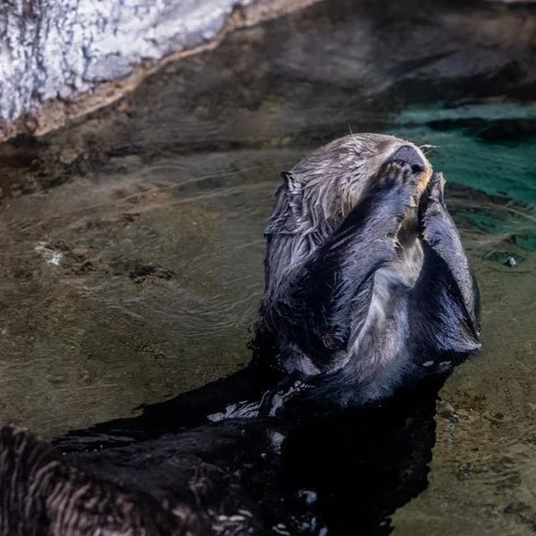 It Can't Be! Monday Already?!