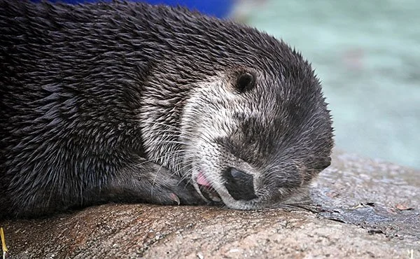 Yeahhh, They'll Smell Me Now