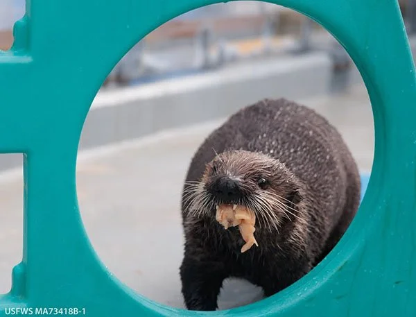 With Those Table Manners, Maybe Put Her Back in Quarantine