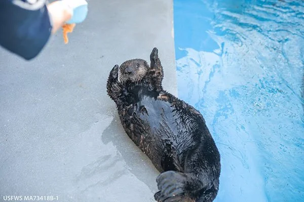 Stretch, Stretch, Snack!