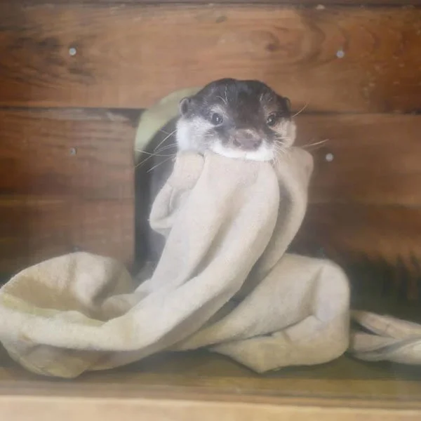 It's Cold Out - Want to Snuggle?