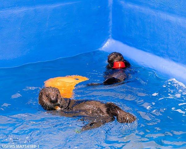 It's Good to Have a Friend