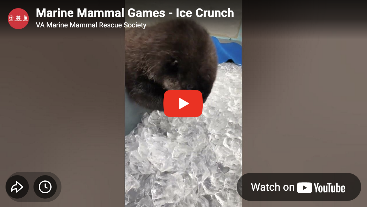 Best Olympic Event Ever