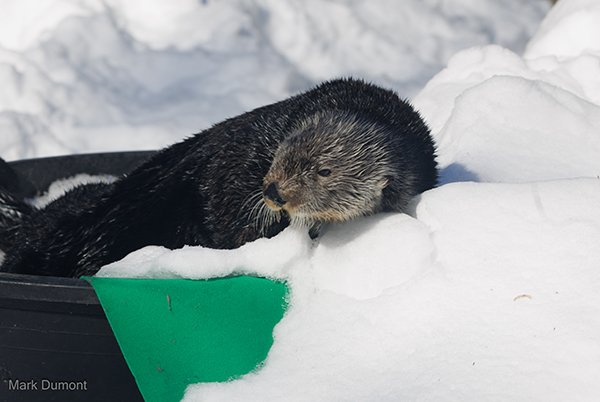 I Could Get Comfy in This