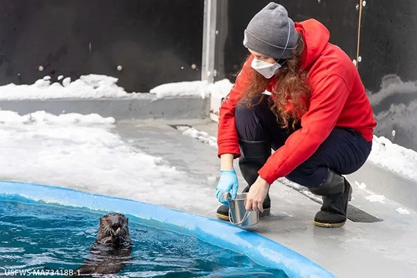 You Really ARE That Tiny, Aren't You, Little Pup?