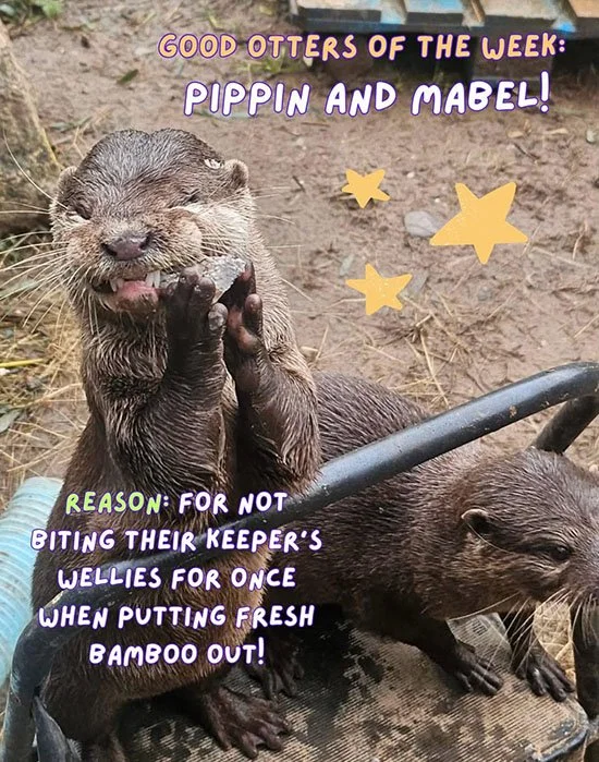 Who Was Good and Who Was Naughty Last Week?