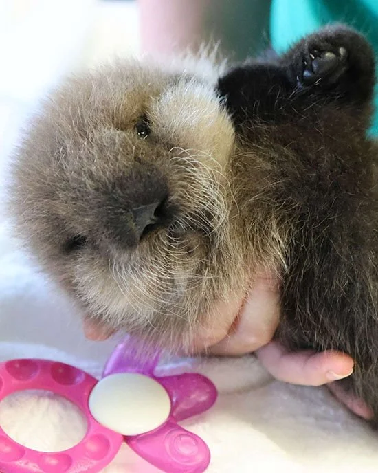 Sometimes You Just Need a Throwback to the Tinier Days