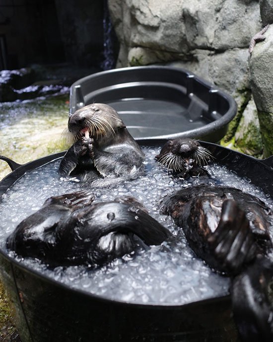 Snacking in the Bath