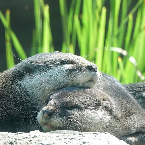 How to Spend a Long Weekend