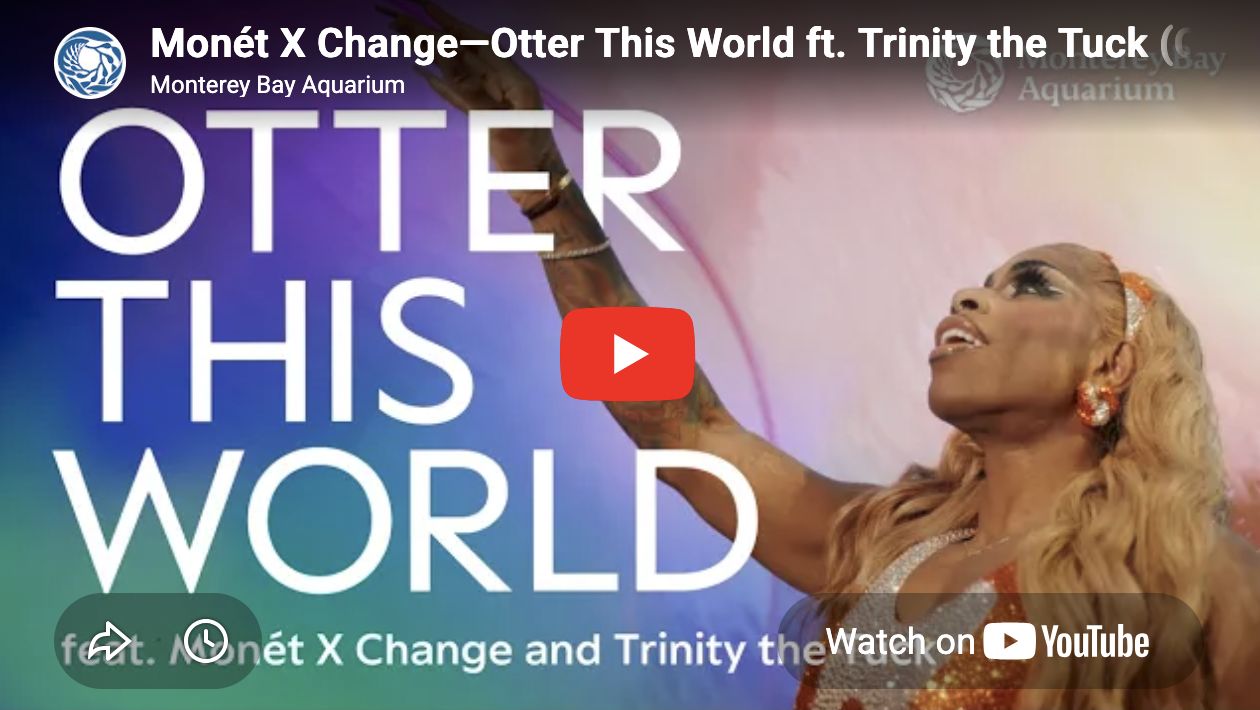 You're [Sea] Otter This World