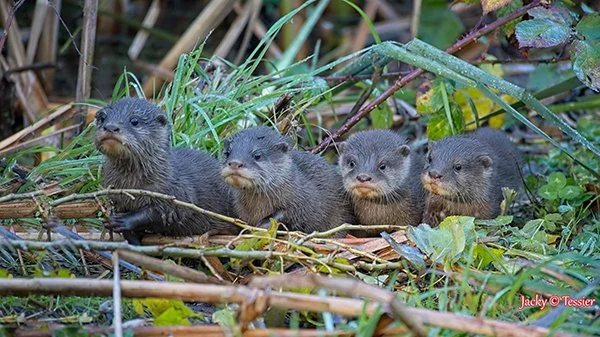 The Kids Are All Lined Up for a Photo