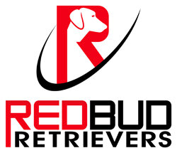 Redbud Retrievers