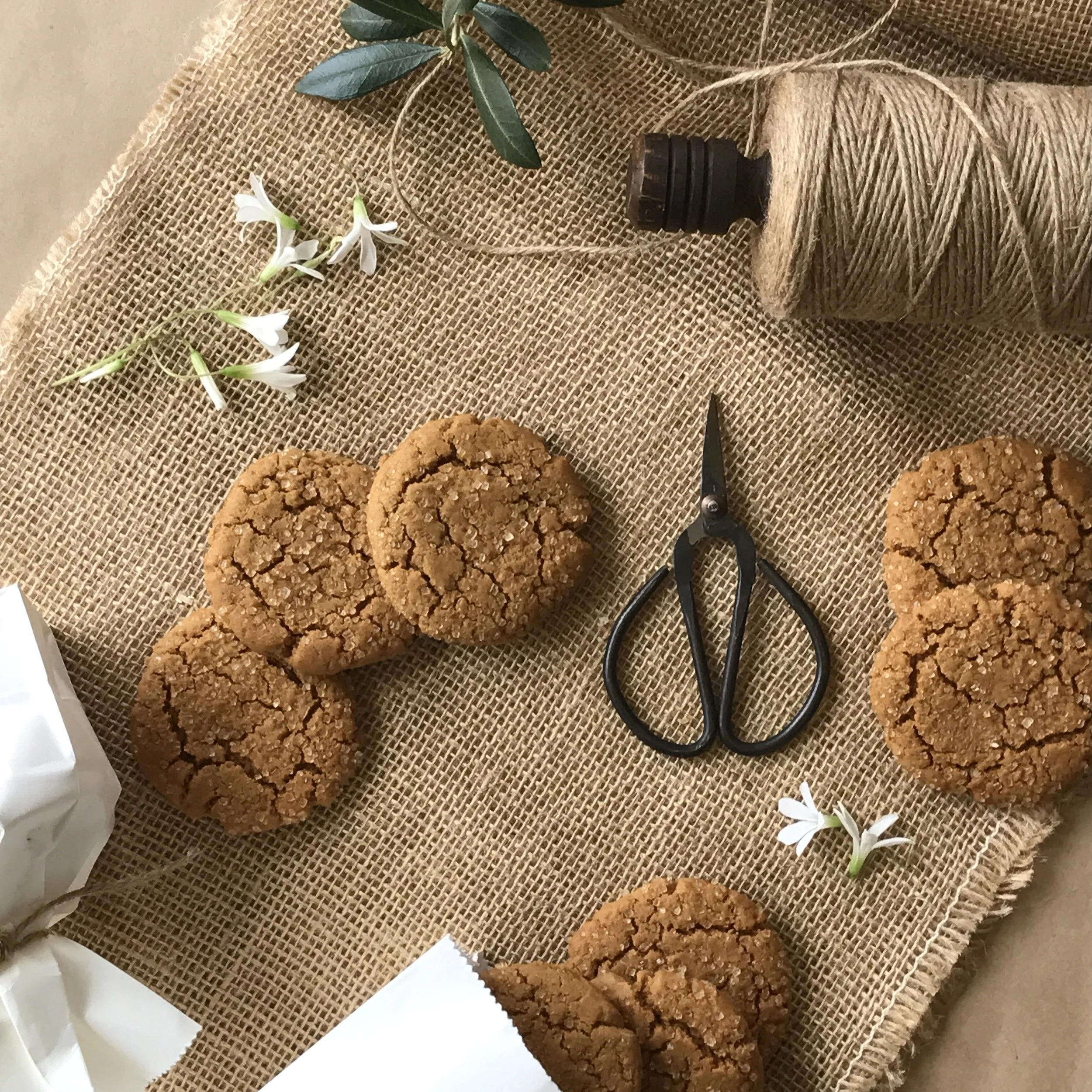 Ginger Cookies
