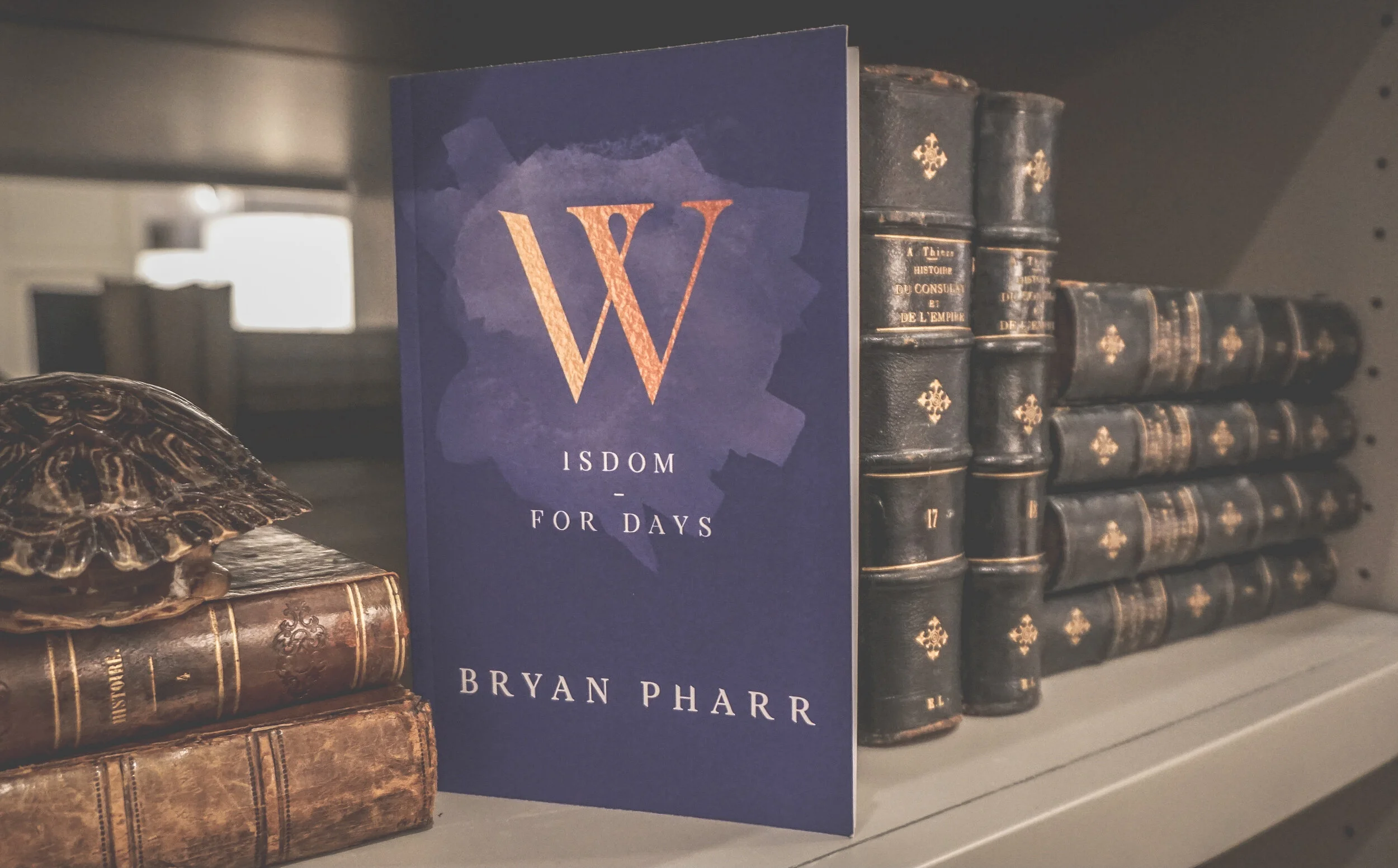 Wisdom - For Days  (Paperback Book)