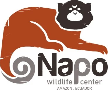 NWC Logo.jpg