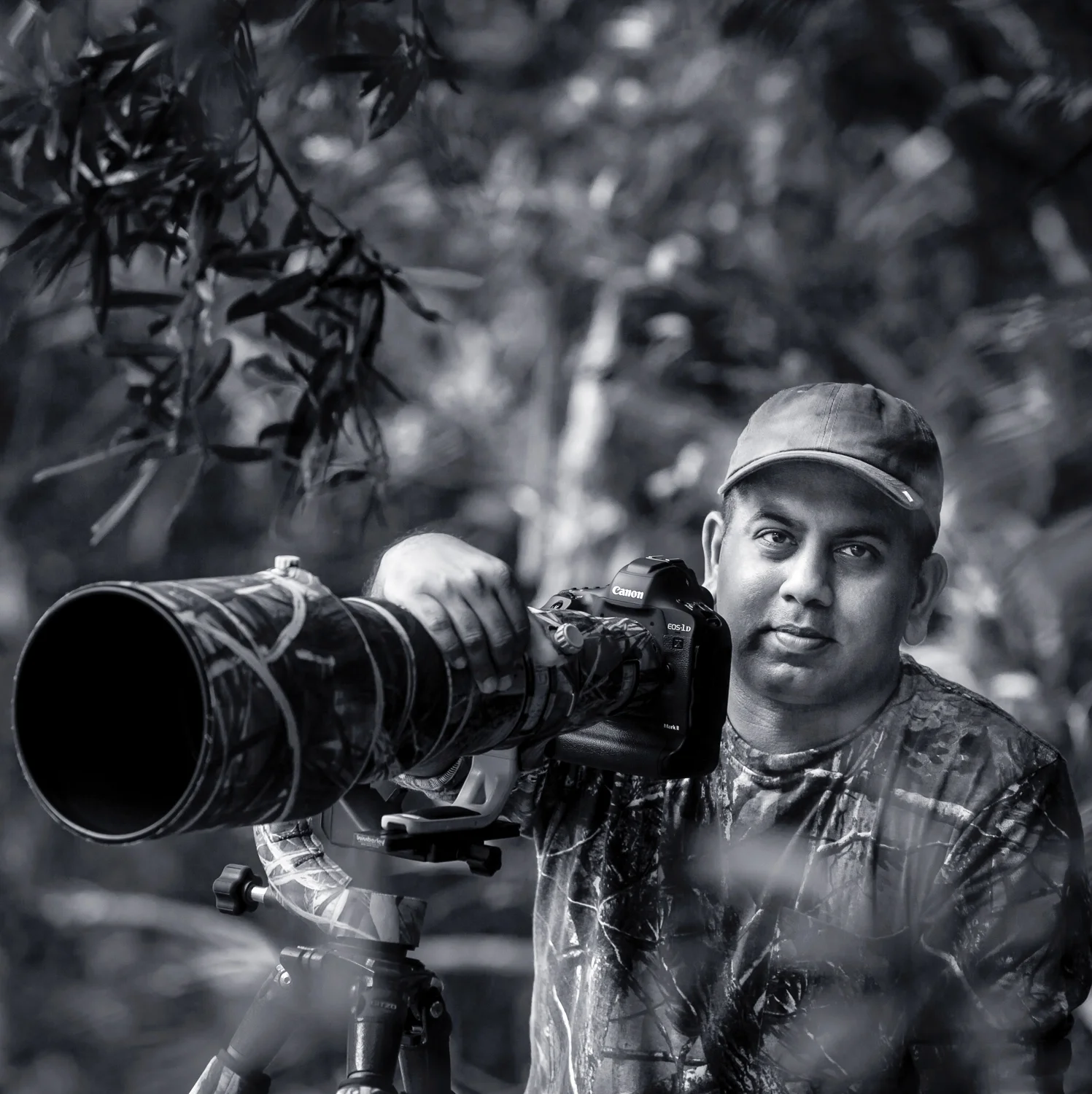 portrait1.jpg