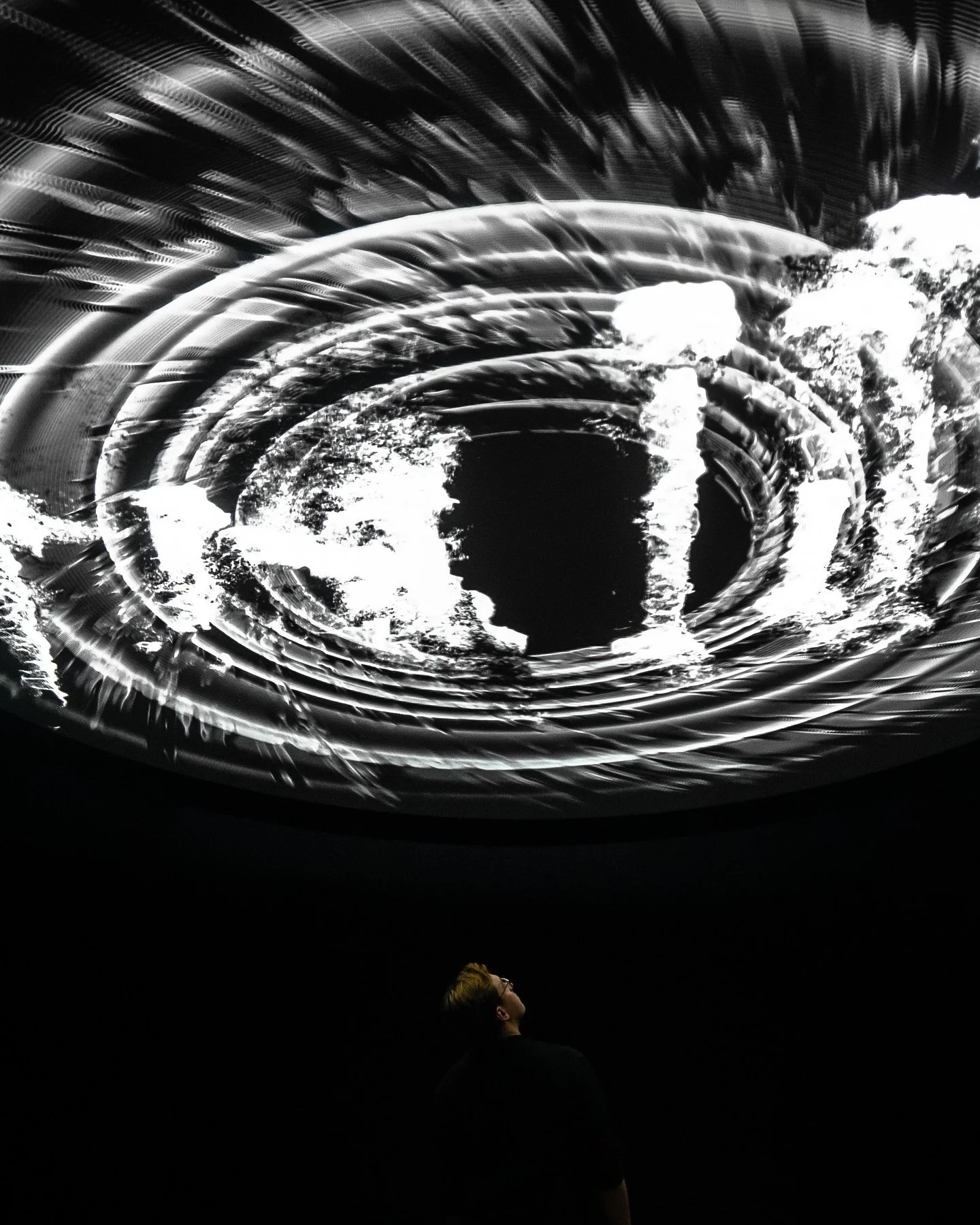 In which I am still alive and // stood under art // bought a house (??) // unstably diffused // was creeped on // traveled ❤️ // was young with and without a gator // eschewed corporeality