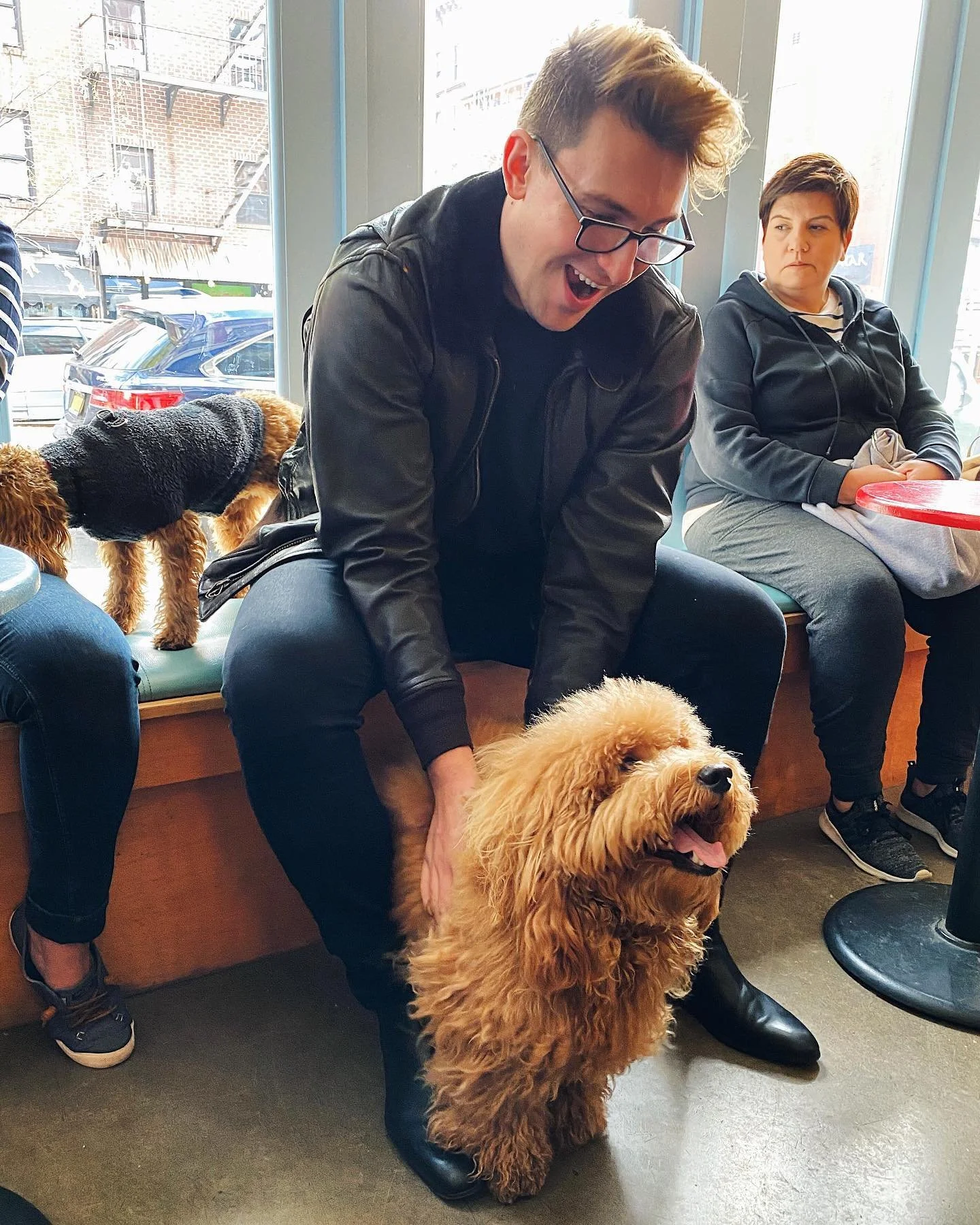 Overwhelmed 🐶❤️