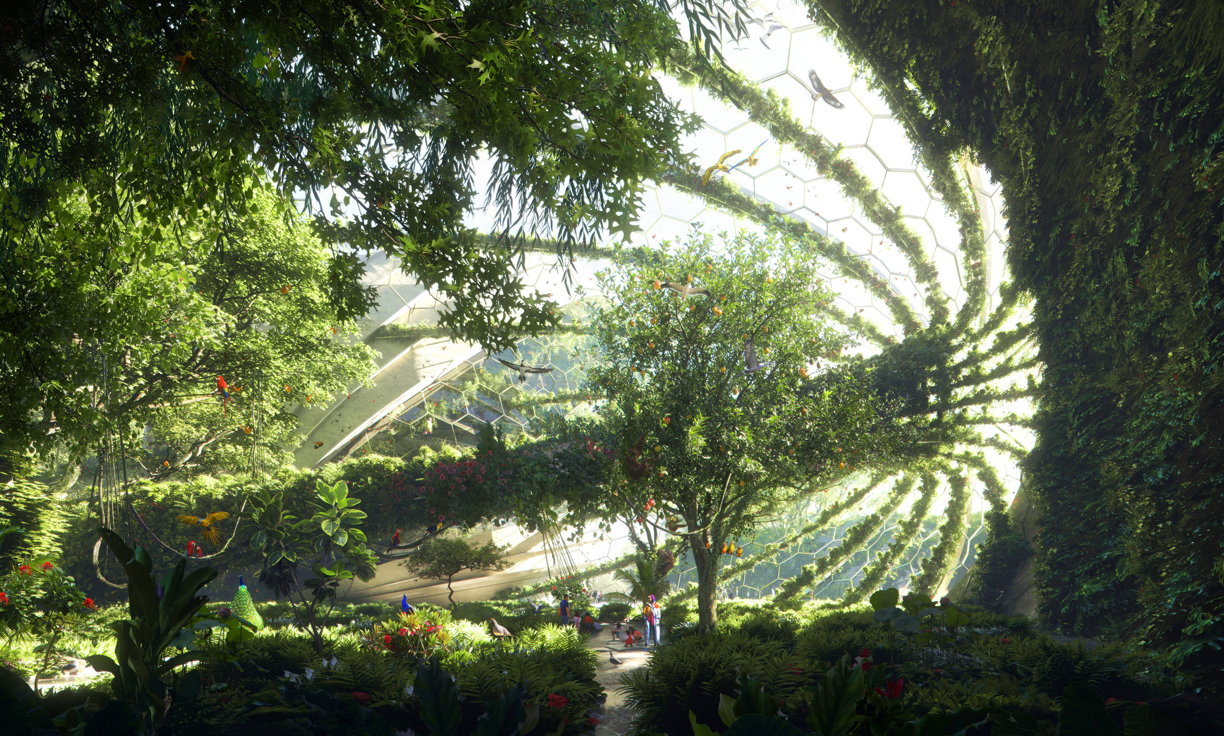 Zas_Iran-rainforest_Ecological.jpg