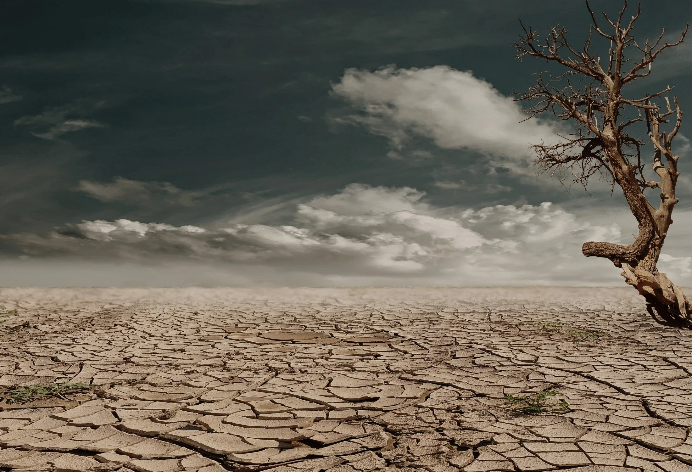desert-279862.jpg