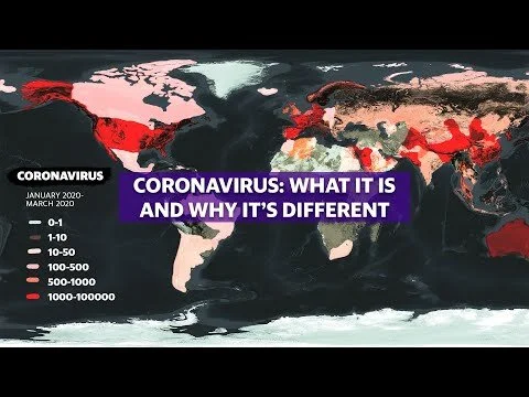 Coronavirus: Experts break down COVID-19