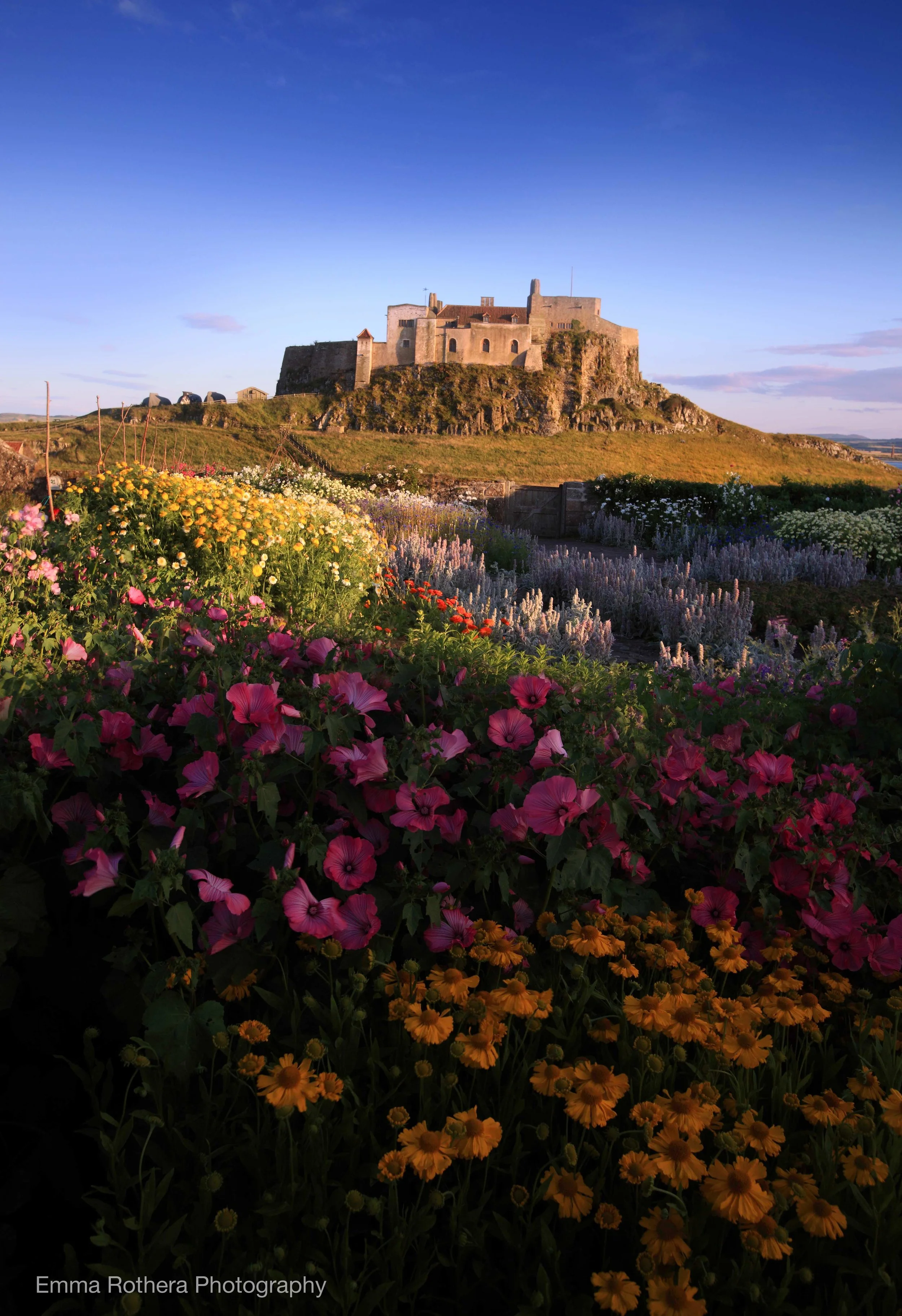 Gertrude Jekyll's Garden & Lindisfarne Castle View, Holy Island, Northumberland