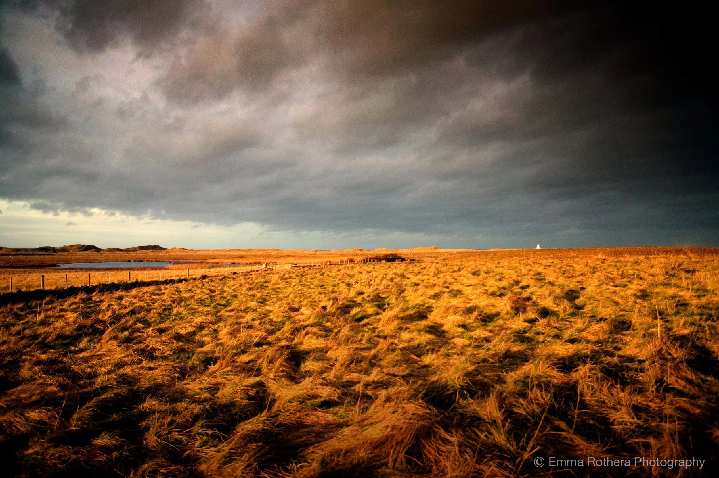 The Lough & Emmanuel Head View, Golden Hour Light, Holy Island, Northumberland