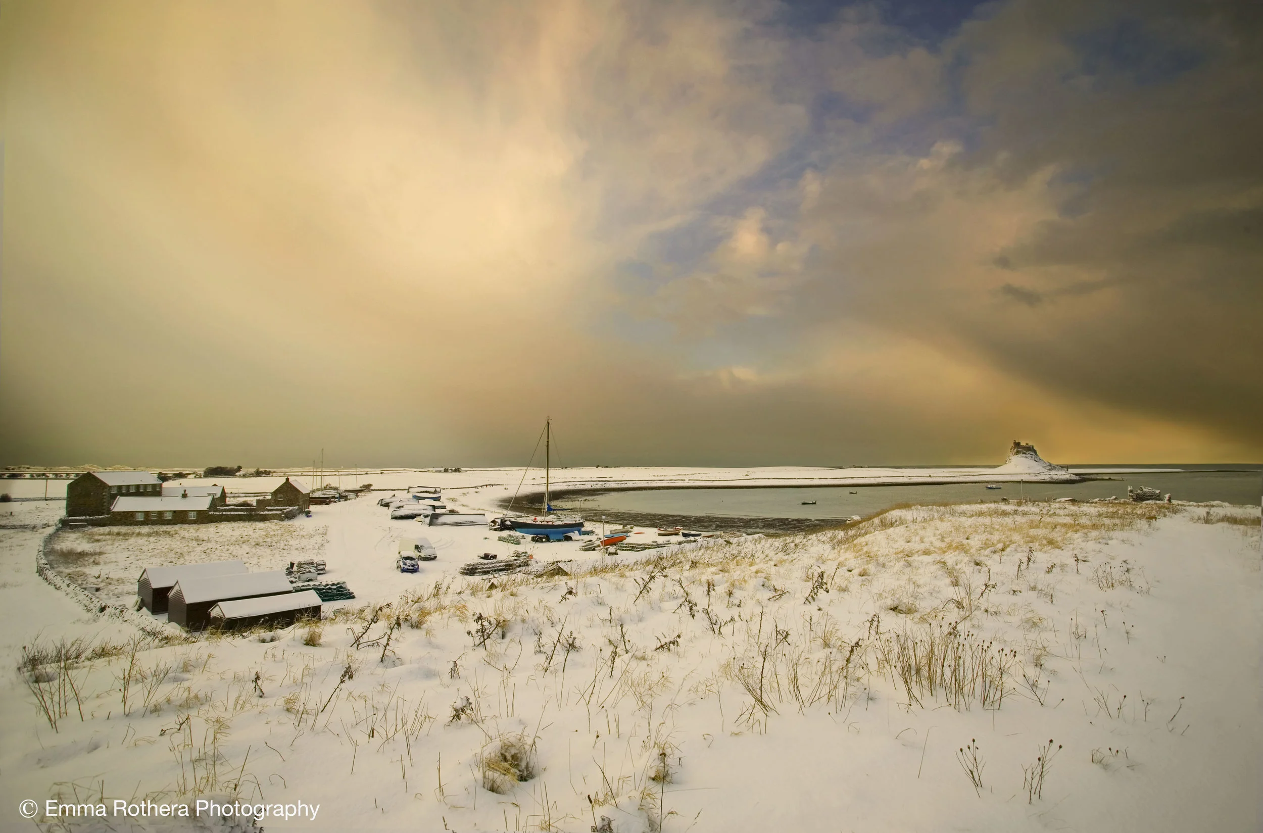 To enquire about purchasing or licensing this image please contact: emma.ybphotography@me.com