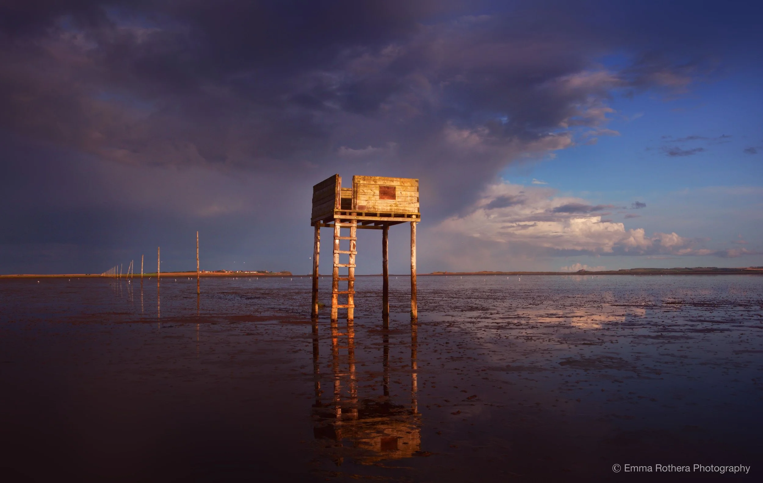 To enquire about purchasing or licensing this image please contact: emma.ybphotography@me.com
