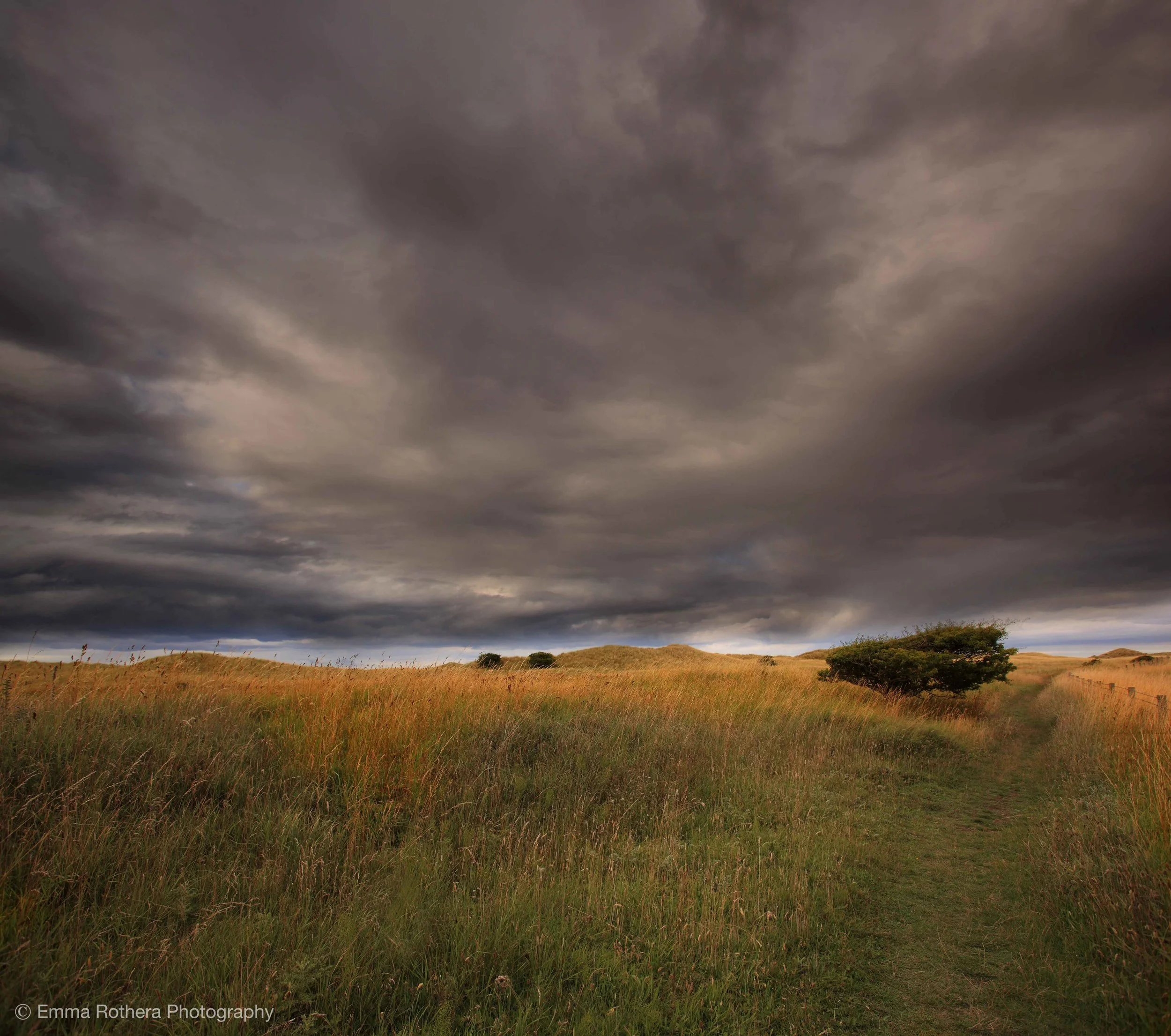 To enquire about purchasing or licensing this image please contact: emma.ybphotography@me.com