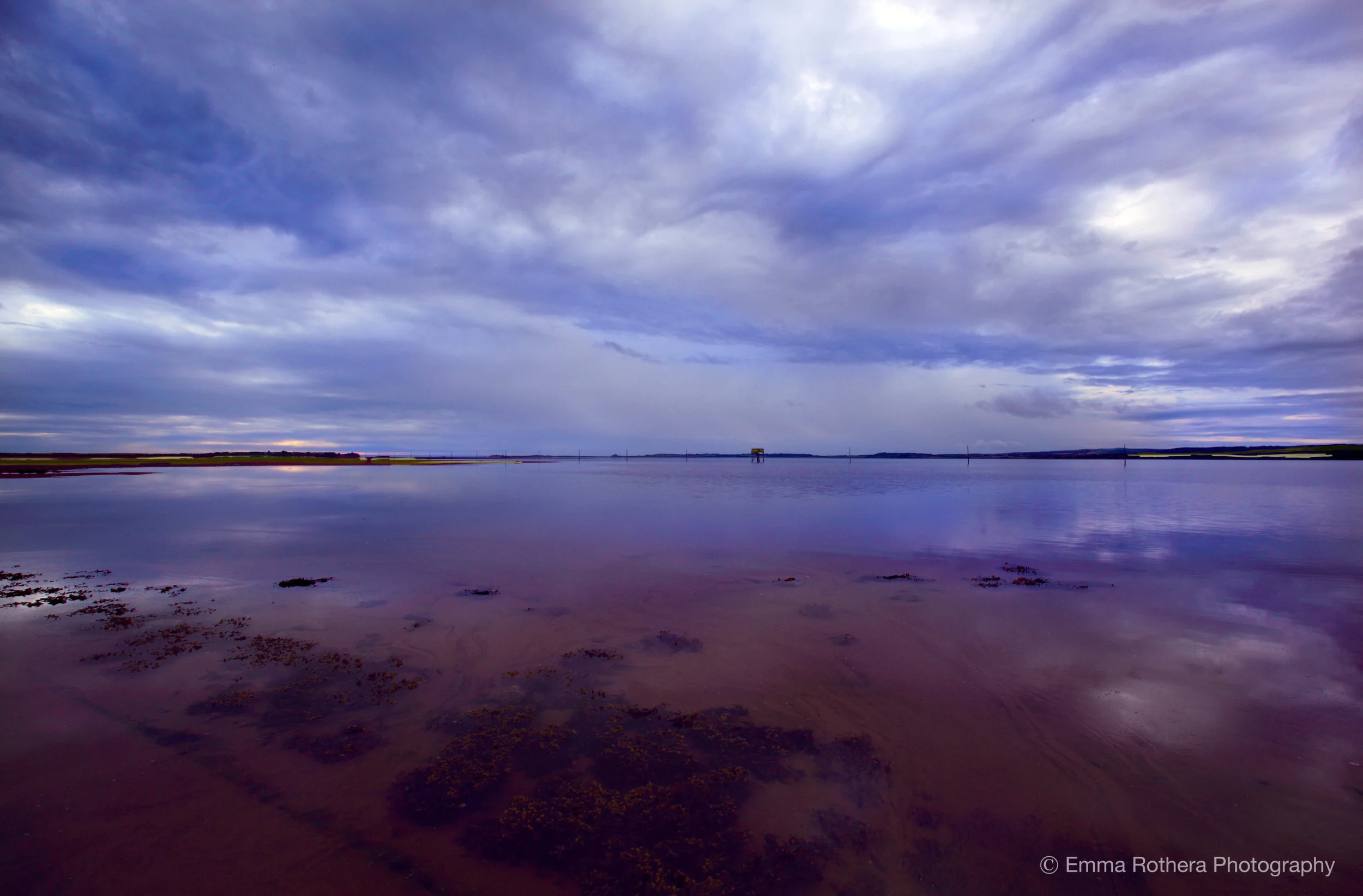 To enquire about purchasing or licensing this image please contact: emma.ybphotography@me.com