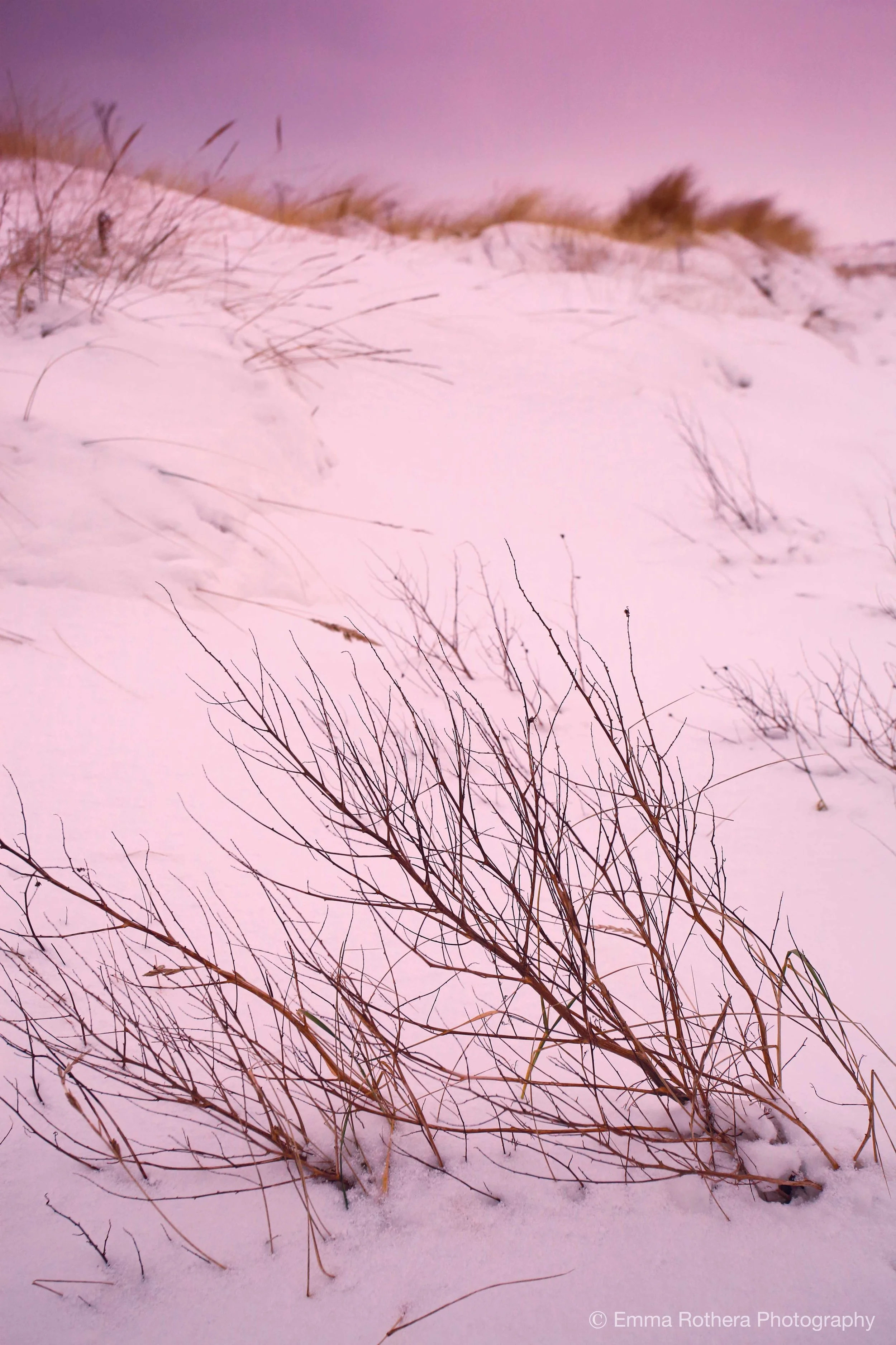 Sand Dune Abstract, Holy Island, Northumberland