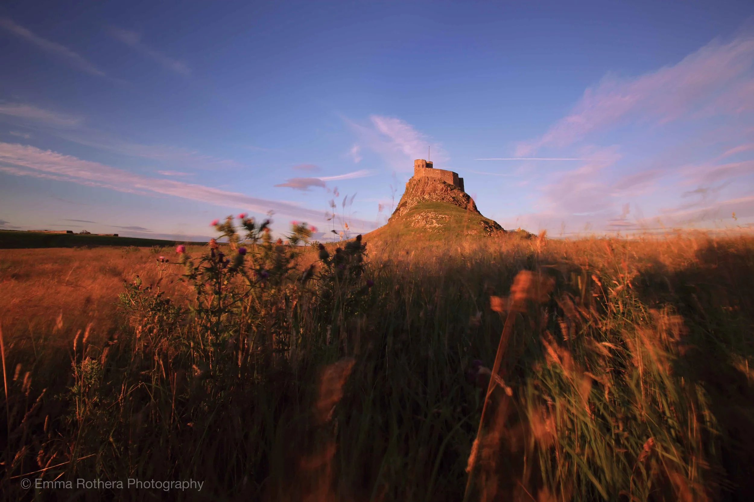 Lindisfarne Castle Summer Grasses at Golden Hour, Holy Island