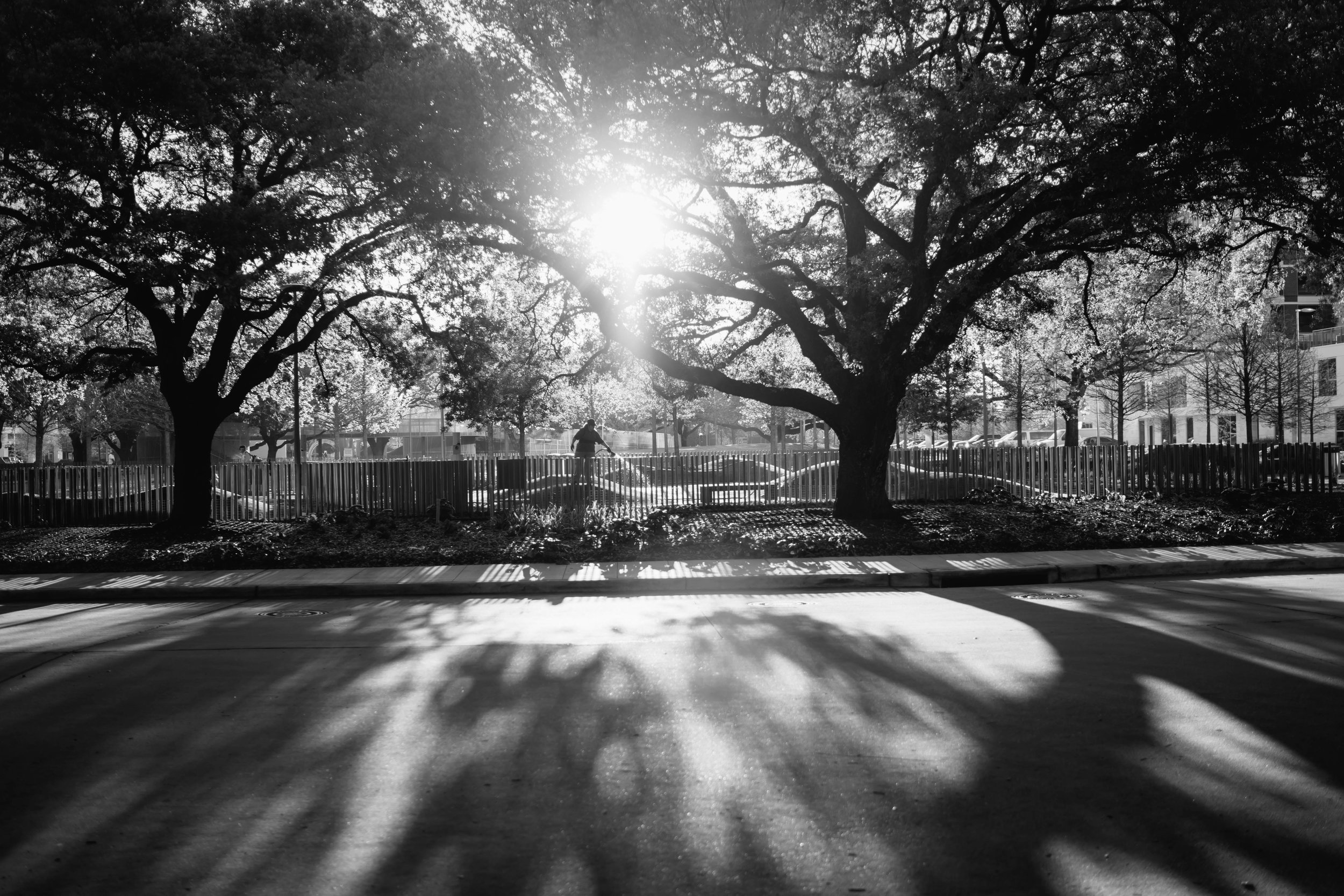 Friday Morning-4.jpg