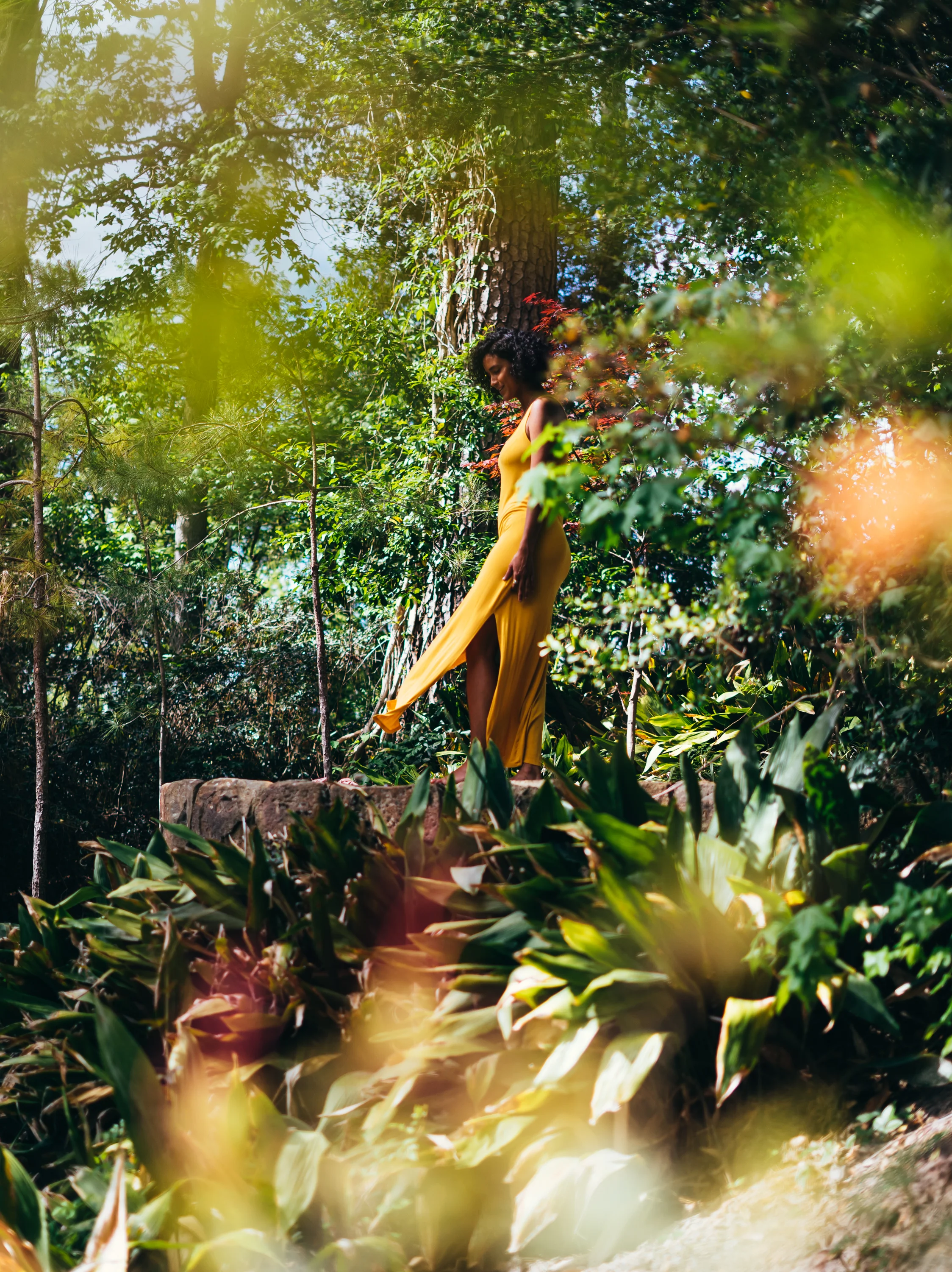 vanessa-14.jpg