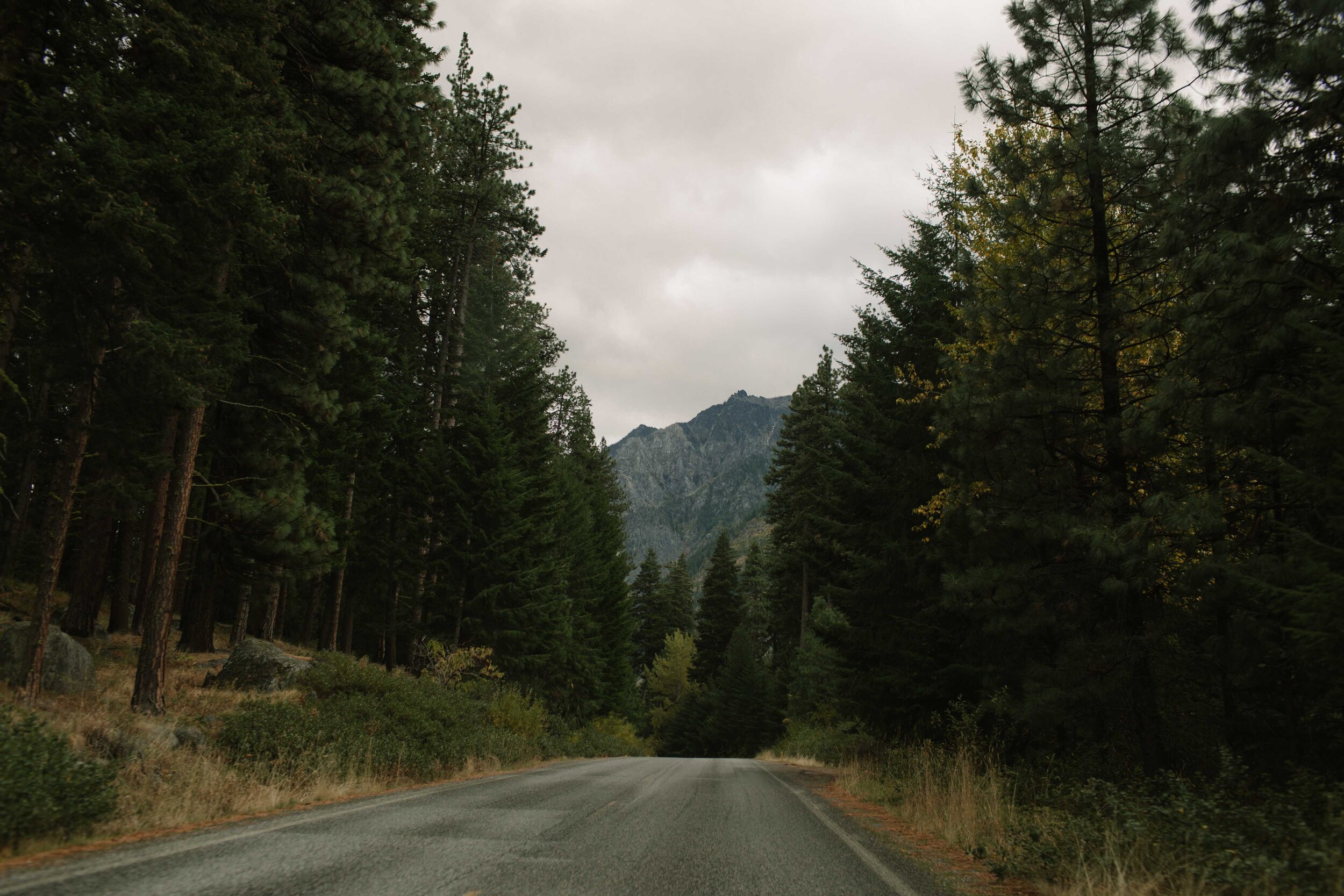 socal-san-diego-southern-california-elopement-small-wedding-outdoor-forest-mountains-waterfall-ceremony-leavenworth-washington-photographer-43.jpg