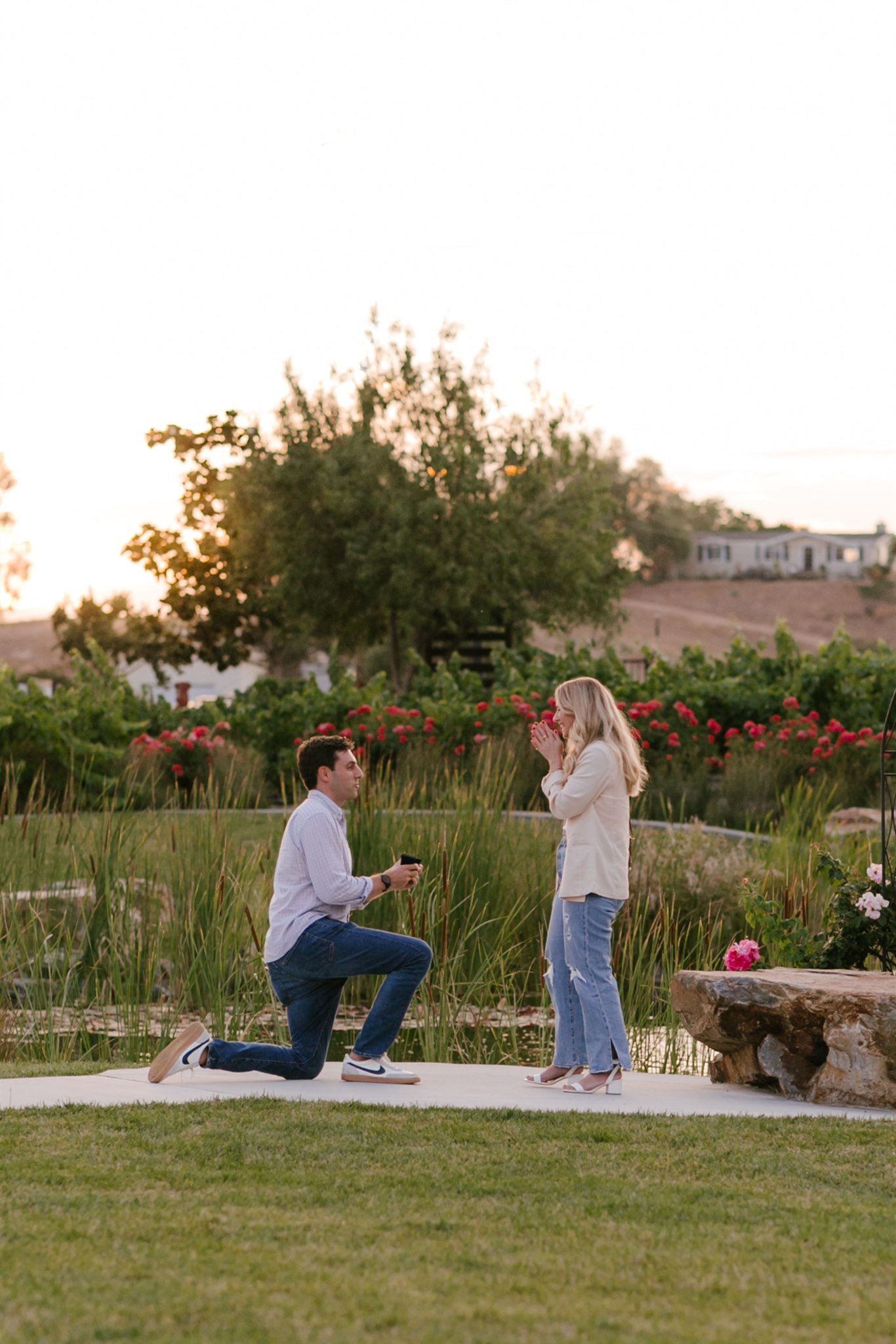 surprise proposal at temecula winery with sunset