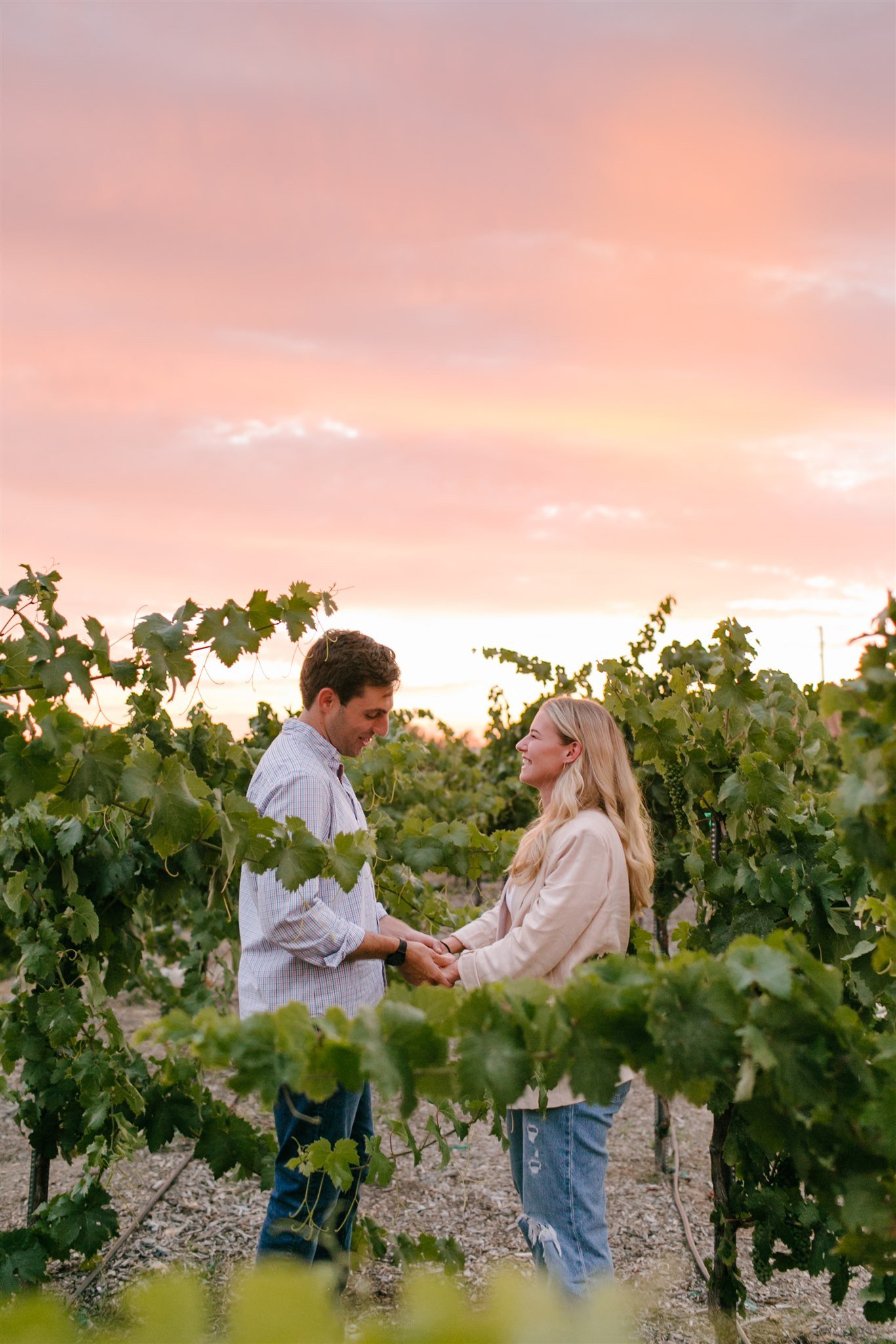 couple holding hand in vineyard with pink sunset