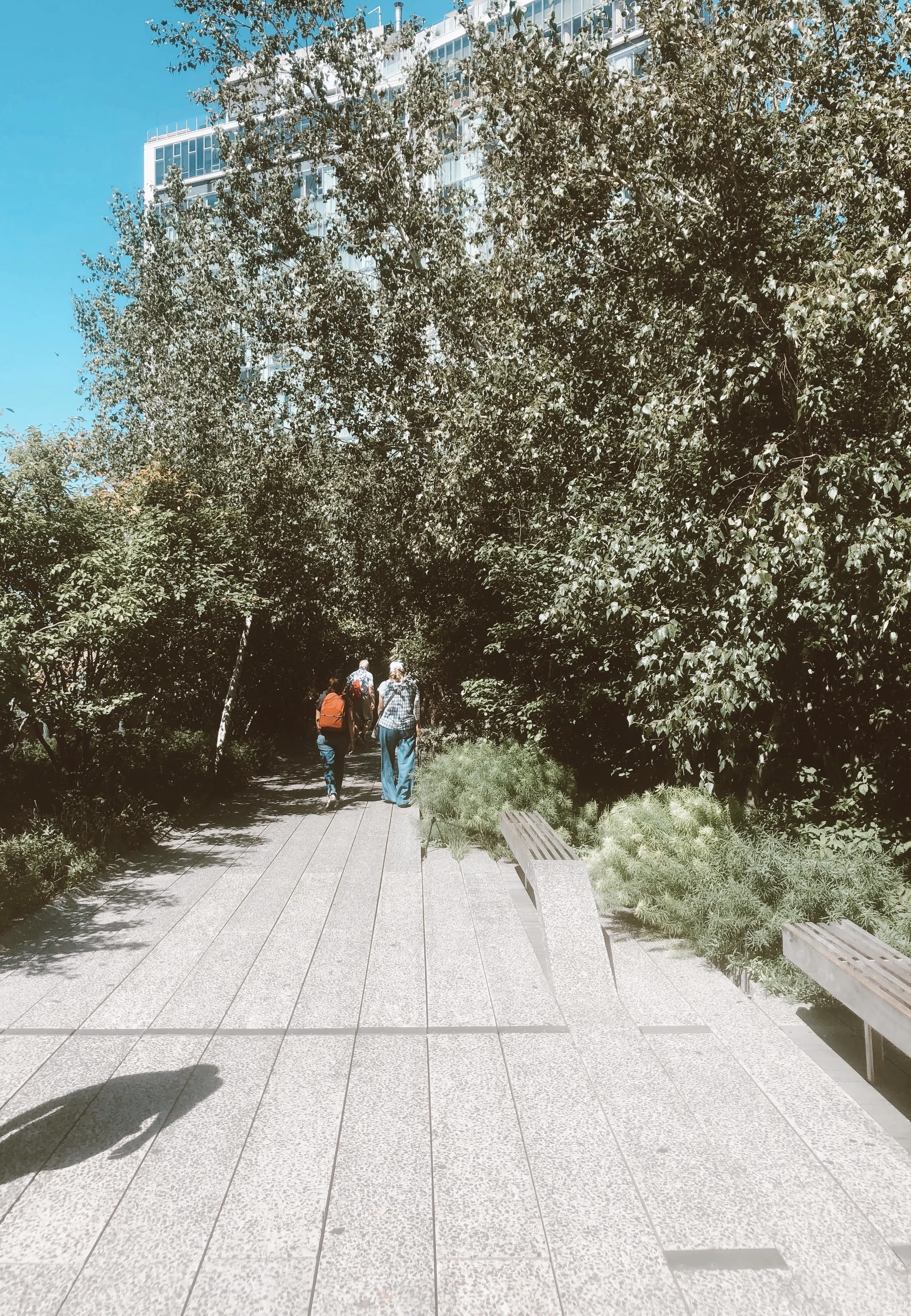 highline2.jpg