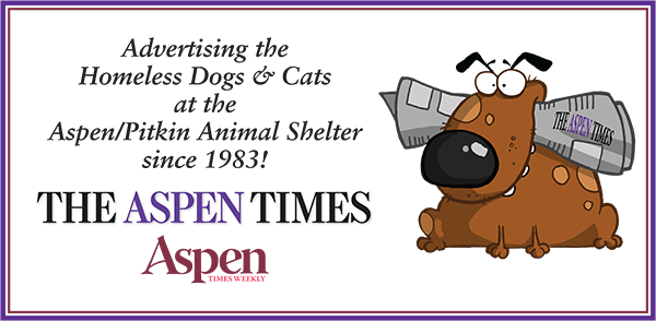 Large Aspen Times Sign for DDA Banner copy.png